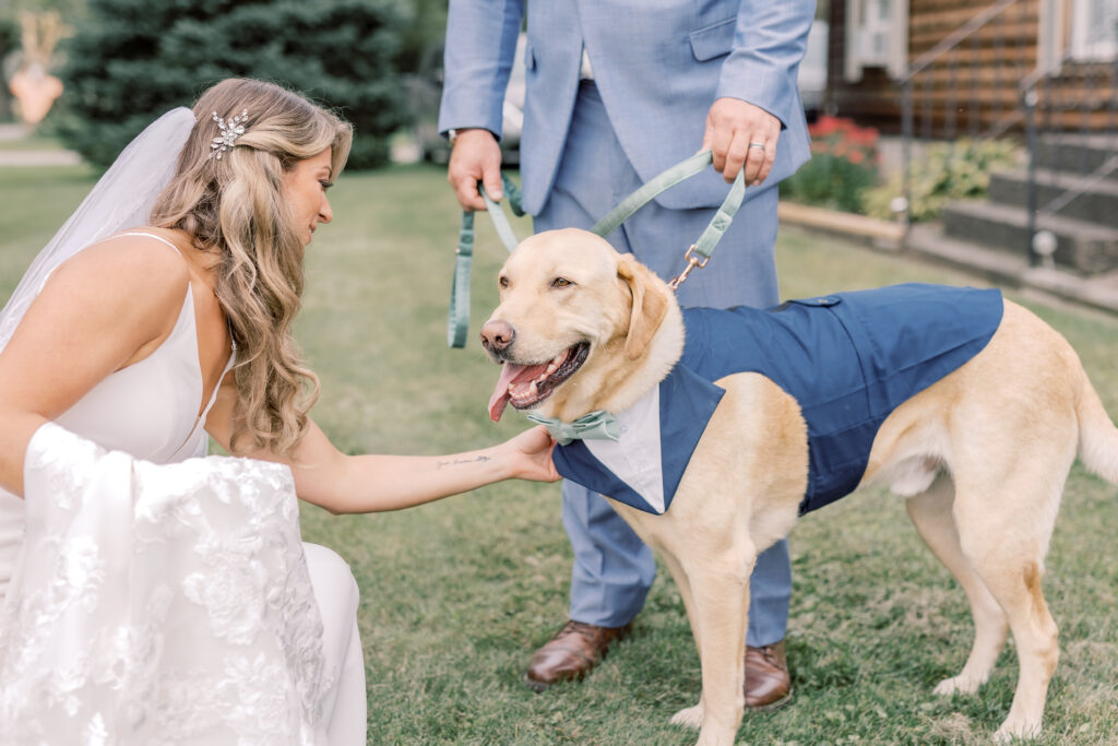 bride petting her dog during the elopement day