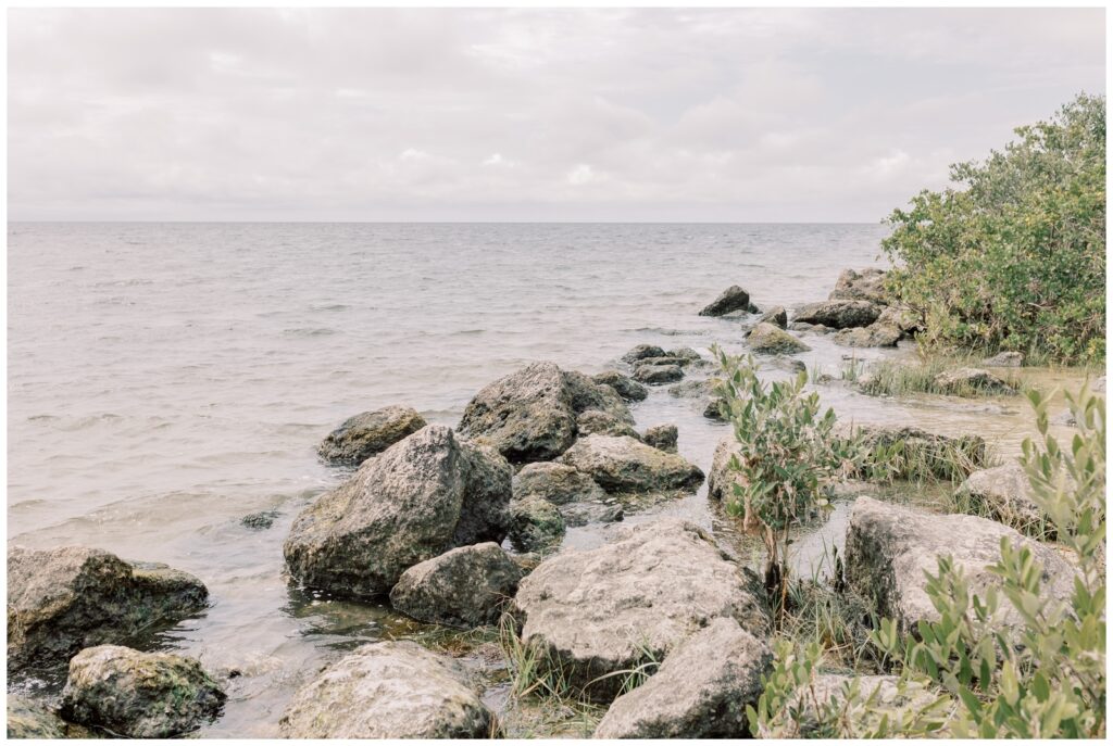 Rocky beach in Crystal River Florida
