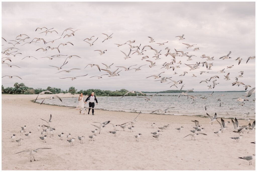 Bride and groom holding hands running through a flock of seagulls alone the shore line during their Crystal River elopement.
