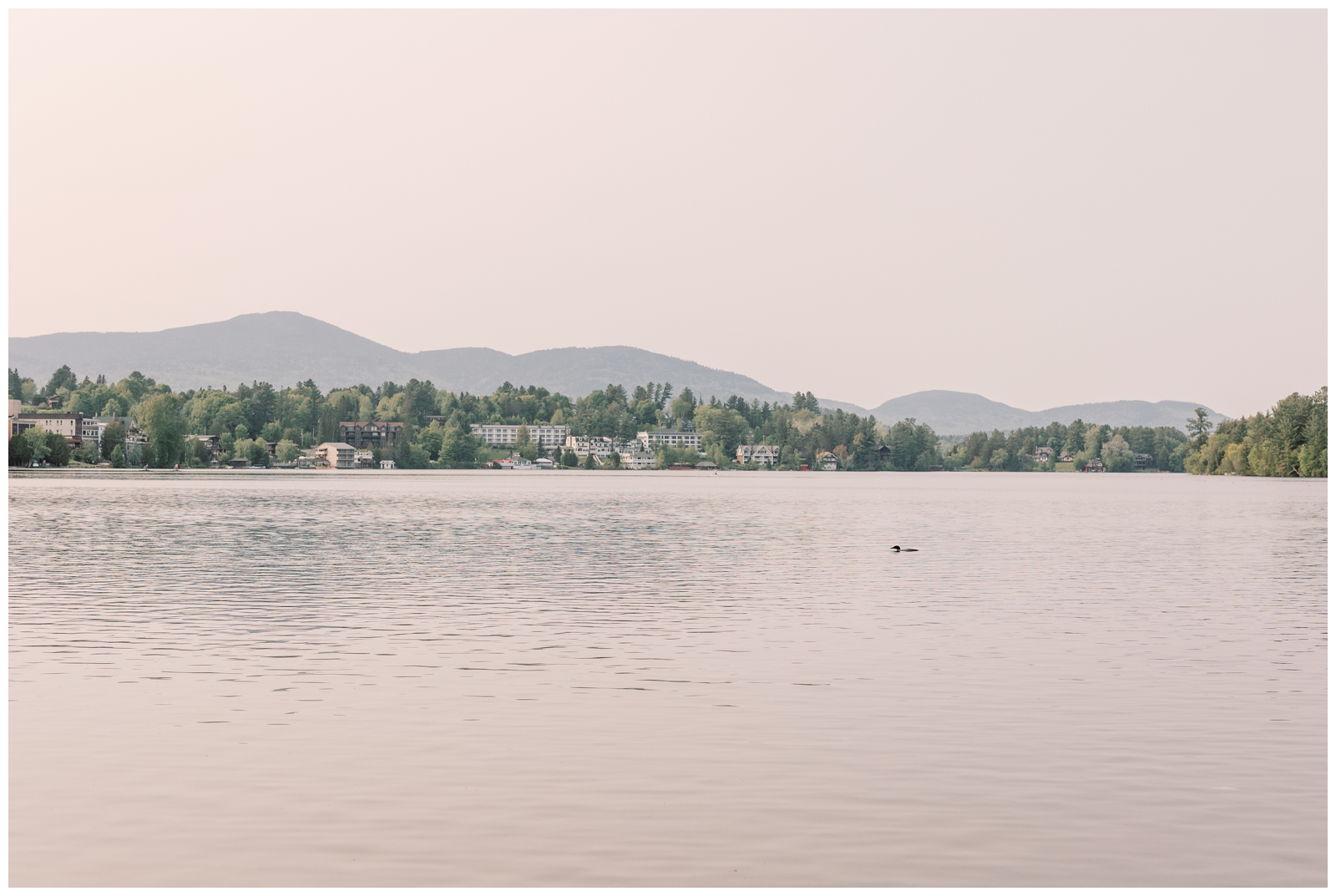 A Loon swimming in the water at Mirror Lake in Lake Placid, NY.
